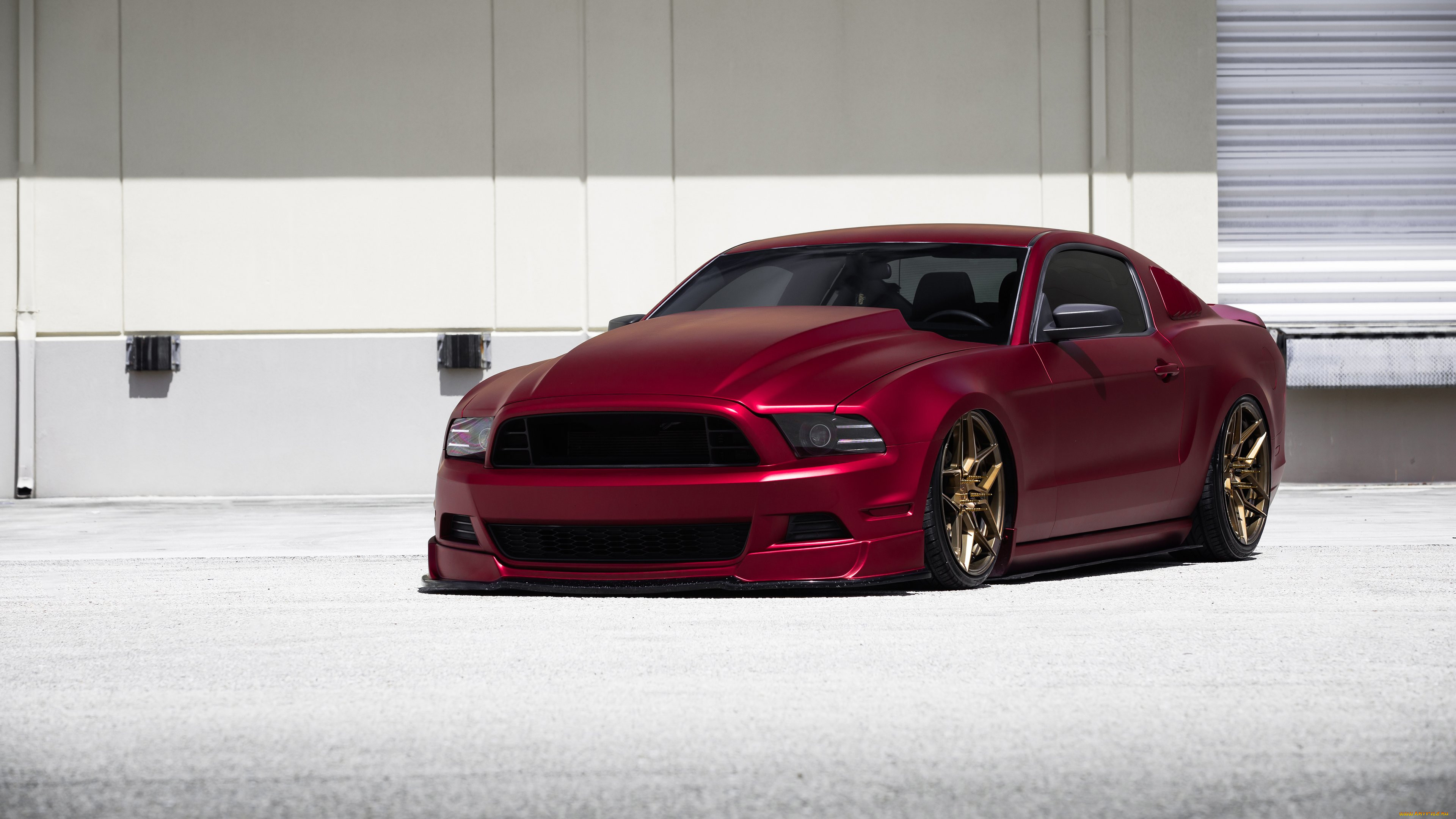 , mustang, ford